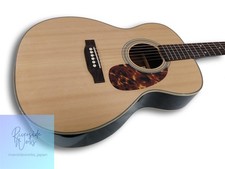 RECORDING KING Akustikgitarre