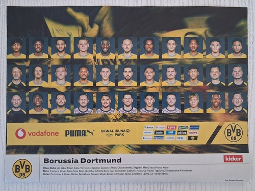 Mannschaftsfoto borussia - mannschaftsfoto,