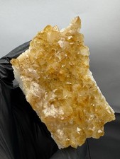 Top Reiner Orange - Goldener