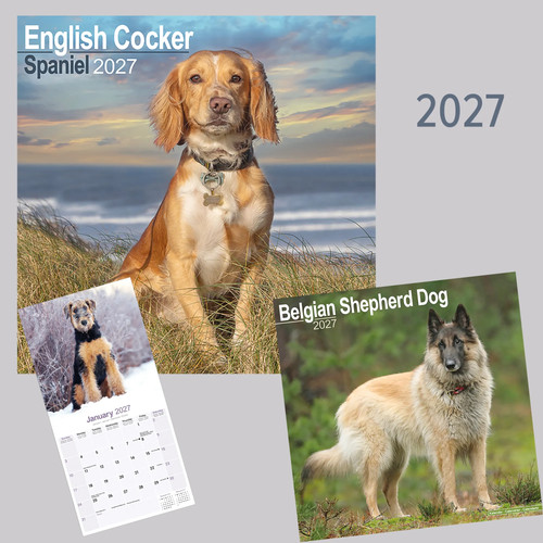 Rassekalender 2027 mit 4 - rassekalender,