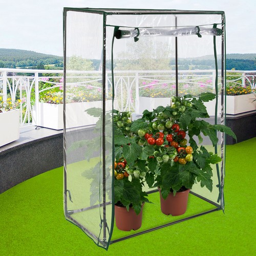 Tomaten gewächshaus - tomaten,