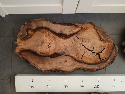 Gestockte kernfaule nussbaum - kernfaule,