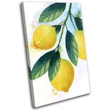 Lemon fruit watercolour - fruit, food