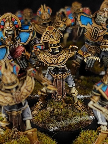 Pro painted blood bowl - pro-painted,, 14