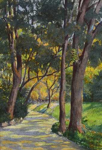 Sonnenbeschienener waldweg - sonnenbeschienener,