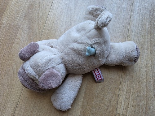 Nici hund mit knochen - hund,