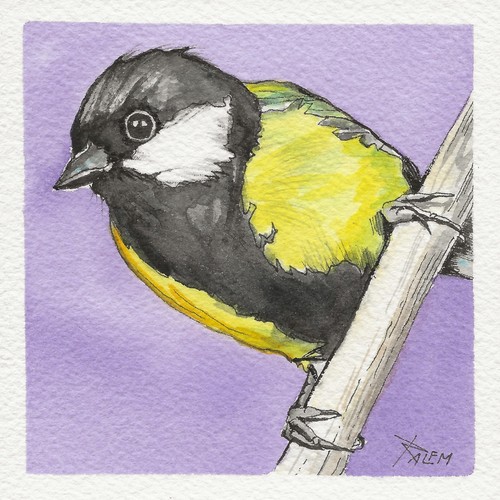 Miniatur vogel aquarell - vogel,