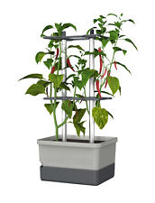 Gusta Garden 100710 Charly