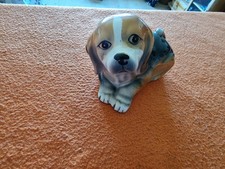 Porzellan Beagle Welpen