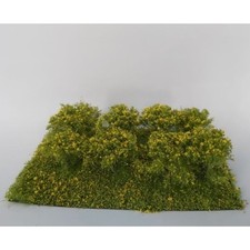 Buchsen Deluxe gelb blühend