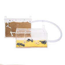 Ameisenfarm Wand Kit (Ameisen mit Königin FREE)(Ant farm, Formicarium, Ants)