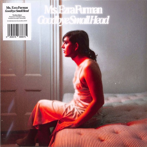 Ezra furman goodbye small - /,