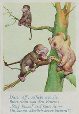 52/516 SAMMELBILD - HUMOR - AFFE - BÄR  - KLETTERN BANANE BAUM