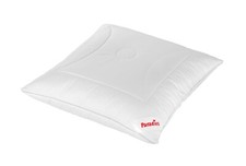 Paradies Softy Duett Plus Bio Kopfkissen Kissen Baumwollbezug Weiß 80 x 80 cm