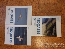 Seevögel 3 Hefte, Band 42, Verein Jordsand, Vögel, Ornithologie 2021