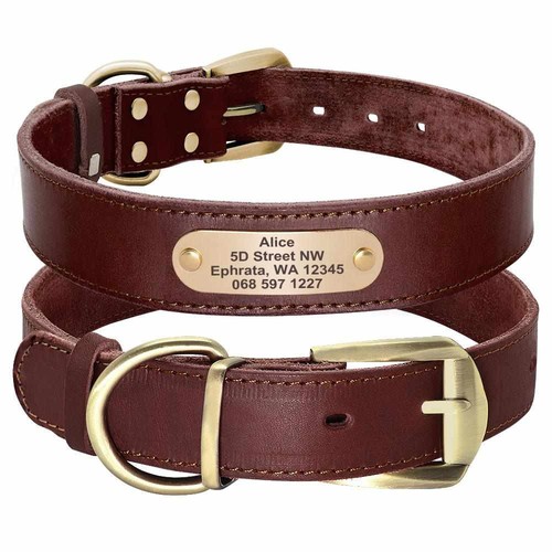 Hundehalsband mit namen und - namen,