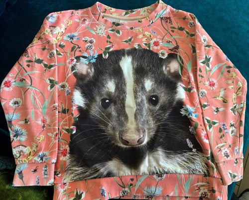 Molo dachs sweatshirt - wie, neu