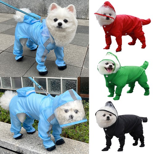 Haustier hund regenmantel - haustier,