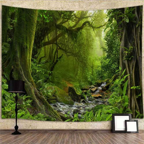 Bäume wald natur - wald,