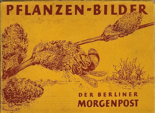Pflanzen sammelbilder der - 39, pflanzen-sammelbilder