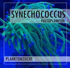 11 Liter tiefgrünes