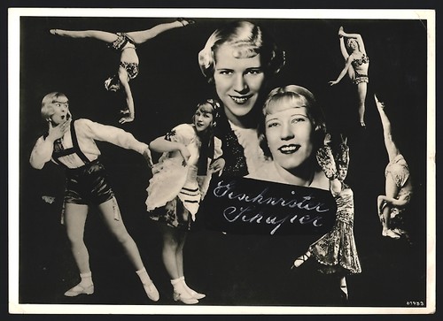 Fotografie circus zirkus - circus,