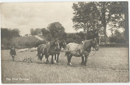 The first furrow bauer mit - the, furrow,