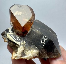 Ultra seltener, voll