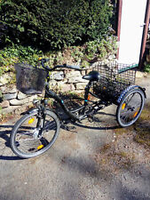 Erwachsenen Dreirad Elektrisch