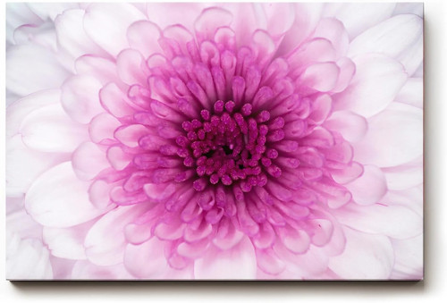 Sinus art wandbild perfekte - wandbild,