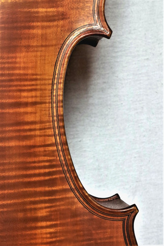 Cello lab selva bologna - lab., "g.