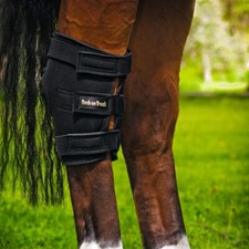 Back track - on,