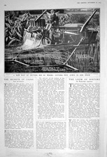 Original alter Vintage Druck