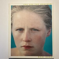 Roni Horn You Are The Weather