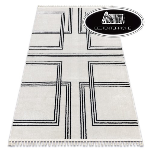 Moderne elegante teppiche - moderne,