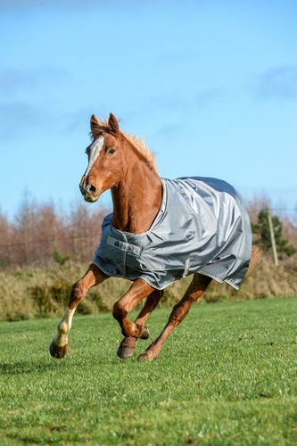 Weidedecke winterdecke smartex - winterdecke,
