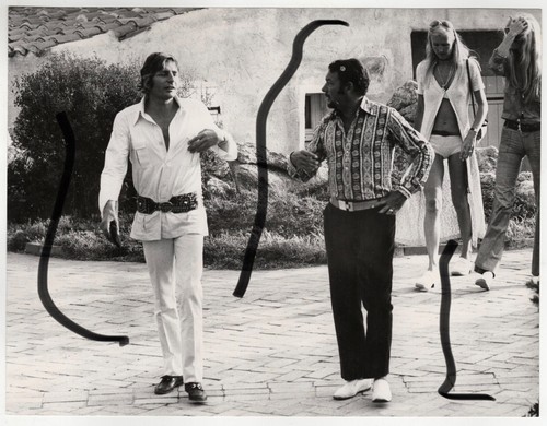 24x18 vintage archiv - vintage, 1970