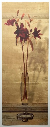 Carmen drude carpe diem - carpe, lily