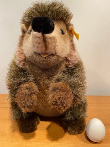 Steiff studio igel joggi - studio, xxl
