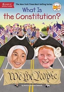 What the constitution - is,