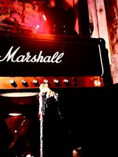 marshall jcm 800