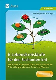 Lebenskreisläufe für den - 6,