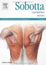 Sobotta lernkarten muskeln - lernkarten,