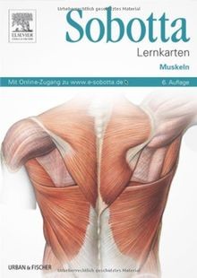 Sobotta lernkarten muskeln - sobotta,