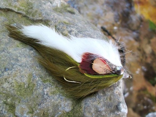 Gilchrist fliegen x - fliegen.,