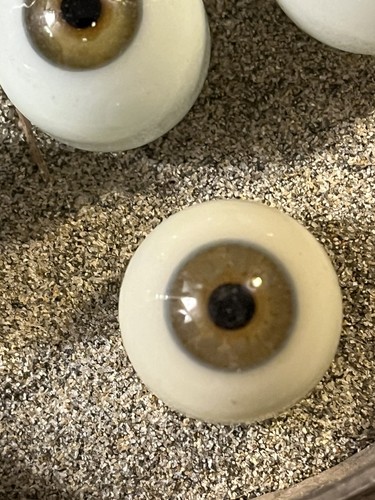 Schwefelaugen aus dem - , 2