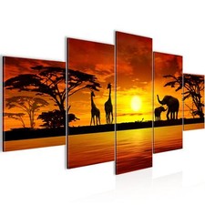 Wandbilder set xxl afrika - wandbilder,
