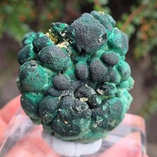 💎Video🌈Top Kabinettstufe