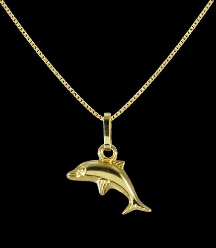Kleine delfin delphin - kleine,