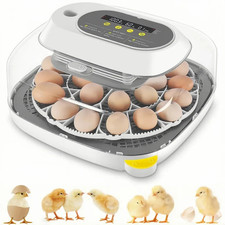 12-24 Inkubator Brutmaschine Vollautomatische Hühnereier Brutapparat Brutautomat